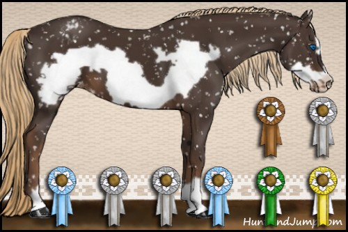 Horse Color:Liver Chestnut Frame Snowflake Varnish 