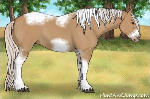 Horse Color:Silver Bay Dun Sabino Tobiano Frame Rabicano