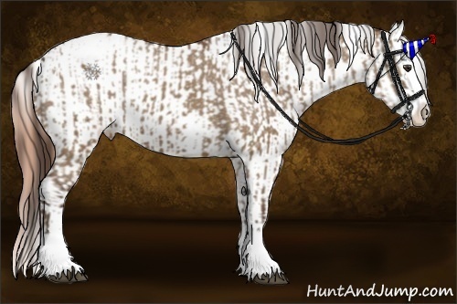 Horse Color:Liver Red Dun Sabino Splash Varnish  and Gold Champagne Dun Sabino Splash Varnish 