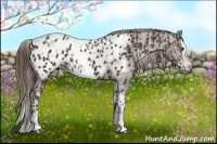 Horse Color:Liver Chestnut Sabino Splash Appaloosa  and Liver Chestnut Sabino Splash Appaloosa 