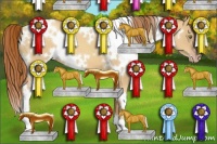 Horse Color:White Spotted Gold Champagne Dun 