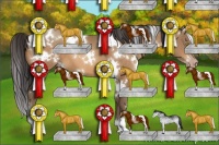 Horse Color:White Spotted Sable Champagne 