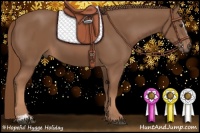 Horse Color:Chestnut Sabino