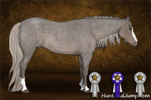 Horse Color:Silver Blue Roan Sabino 