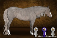 Horse Color:Silver Blue Roan Sabino 