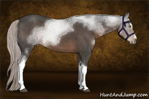 Horse Color:Silver Black Sabino Tobiano 