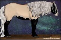 Horse Color:Silver Bay Dun Splash