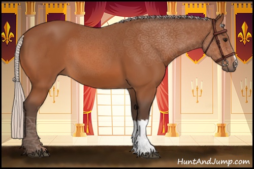 Horse Color:Silver Bay 