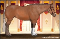 Horse Color:Silver Bay 