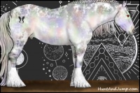 Horse Color:Nacre White Spotted Silver Brown Chinchilla Ice Onyx Sabino 