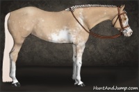 Horse Color:Silver Classic Champagne Sabino 