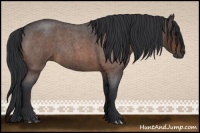 Horse Color:Brown Roan 