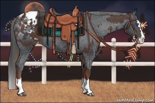 Horse Color:Liver Chestnut Sabino Splash Appaloosa  and Black Sabino Splash Appaloosa 