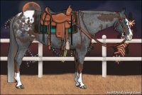 Horse Color:Liver Chestnut Sabino Splash Appaloosa  and Black Sabino Splash Appaloosa 