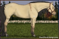 Horse Color:Buckskin Dun Sabino