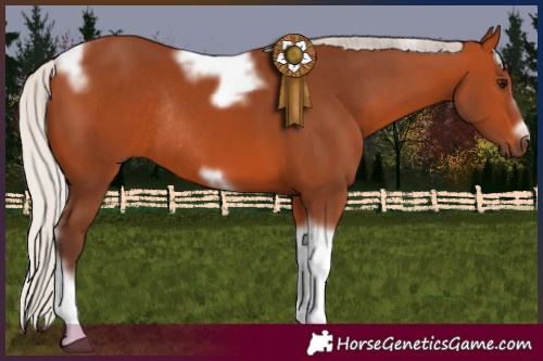 Horse Color:Silver Bay Tobiano Frame Rabicano 
