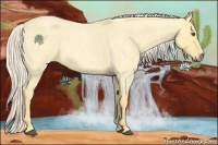 Horse Color:Palomino Roan Dun 