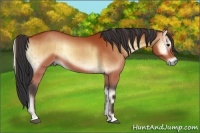 Horse Color:Bay Onyx Brindle 