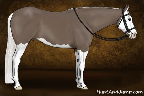 Horse Color:Silver Black Splash 