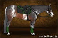 Horse Color:White Spotted Brown 