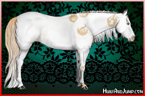 Horse Color:White Spotted Gold Champagne Splash Tobiano 