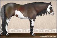 Horse Color:Brown Splash