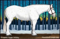 Horse Color:Chestnut Appaloosa 