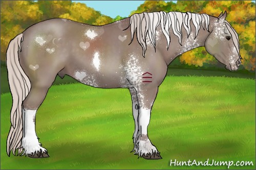 Horse Color:White Spotted Chocolate Silver Black Tobiano