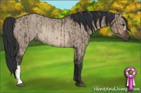 Horse Color:Brown Dun Rabicano and Brown Dun Rabicano