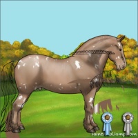 Horse Color:White Spotted Black Pearl