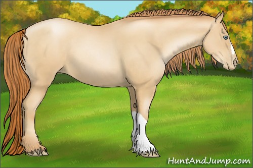 Horse Color:Sable Champagne Pearl 