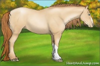 Horse Color:Sable Champagne Pearl 