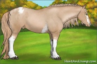 Horse Color:White Spotted Chestnut Pearl Varnish