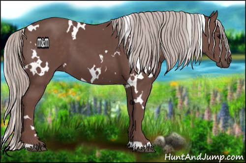 Horse Color:White Spotted Chocolate Silver Black 