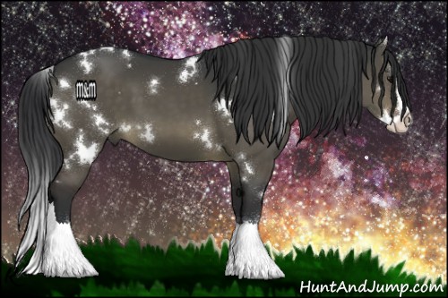 Horse Color:White Spotted Brown Dun Splash