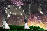 Horse Color:White Spotted Brown Dun Splash