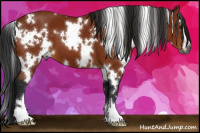 Horse Color:Gray White Spotted Bay Sabino 
