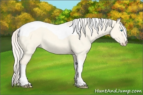 Horse Color:Cremello Dun Tobiano