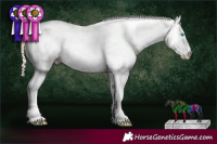 Horse Color:Chocolate Perlino Dun Sabino