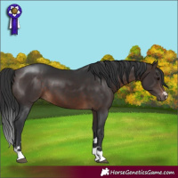 Horse Color:Brown 