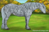 Horse Color:ERROR: UNKNOWN ANOMALY