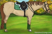 Horse Color:Red Dun 