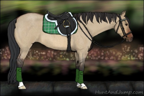 Horse Color:Brown Roan Dun 