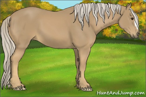 Horse Color:Palomino 