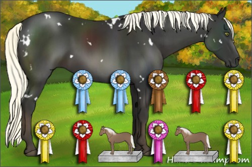 Horse Color:White Spotted Liver Chestnut 