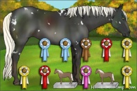 Horse Color:White Spotted Liver Chestnut 