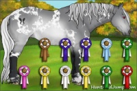 Horse Color:White Spotted Silver Brown Chinchilla 