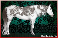 Horse Color:White Spotted Liver Chestnut Ice Splash 