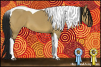 Horse Color:Gray Bay Dun Tobiano 