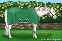 Horse Color:Gold Cream Champagne 